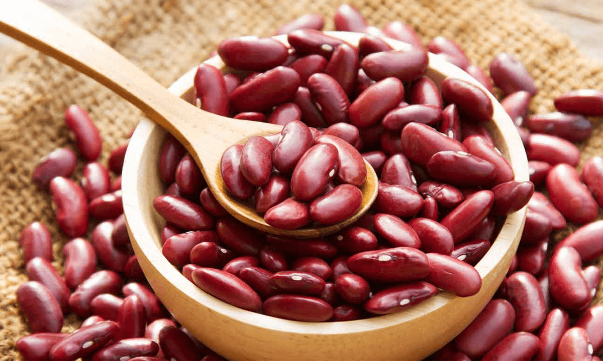 Kidney Beans exporter from Vadodara Gujarat India